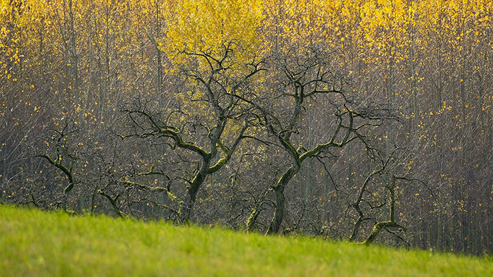 ToDesk下载软件问题解答:卡住/下载失败/无法解析包如何解决? 二