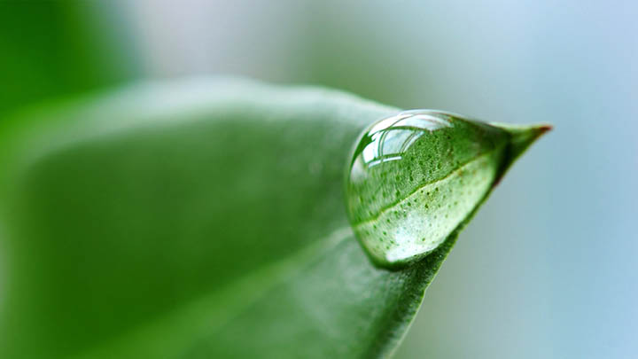 ToDesk下载官方教程+最新官网入口解析 二