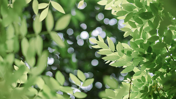 您是否遇到ToDesk旧版下载困难？五种替代资源解决下载障碍 二