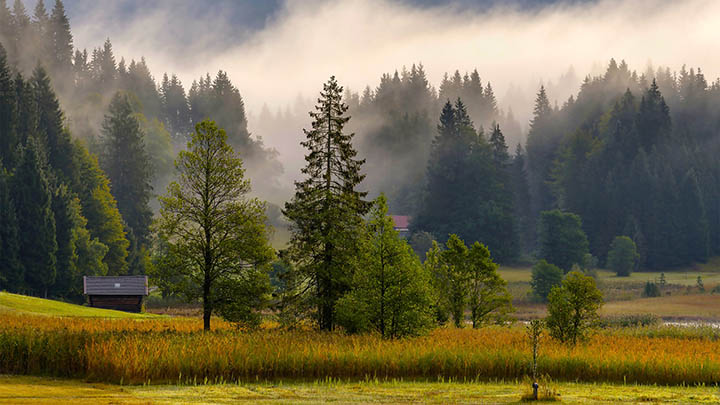 ToDesk下载地址找不到?最新2025版完整获取指南+隐藏资源挖掘 二