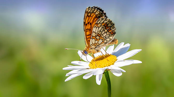 ToDesk下载怎么搞定?全面指南+安全下载路径介绍 二