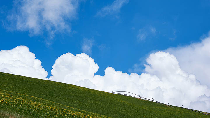 ToDesk下载步骤：轻松搞定3个小技巧 二