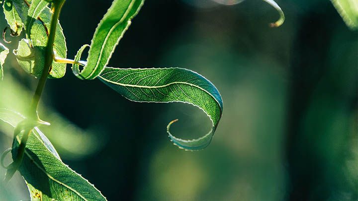 平板端ToDesk快速下载安装详细教程图解 二