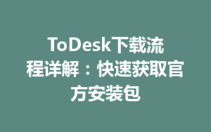 ToDesk下载流程详解：快速获取官方安装包-ToDesk