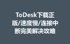 ToDesk下载正版/速度慢/连接中断完美解决攻略-ToDesk