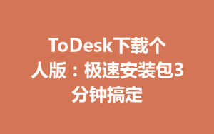 ToDesk下载个人版：极速安装包3分钟搞定-ToDesk