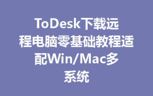 ToDesk下载远程电脑零基础教程适配Win/Mac多系统-ToDesk