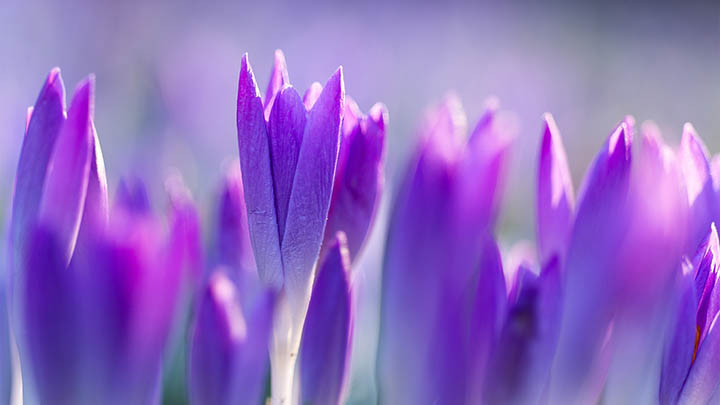 ToDesk下载教程全解析：快速上手+常见问题解决方法一网打尽2025年 二