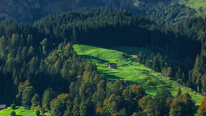 电脑ToDesk下载怎么操作?详细教程指导 二