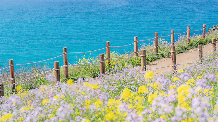 iPad如何下载ToDesk？详细教程解析！ 二