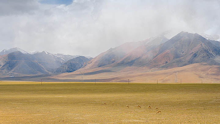 ToDesk下载被控端教程+安装指南 二