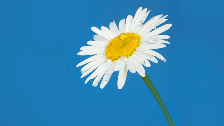 官网ToDesk下载全解：快速安装图文教程 二