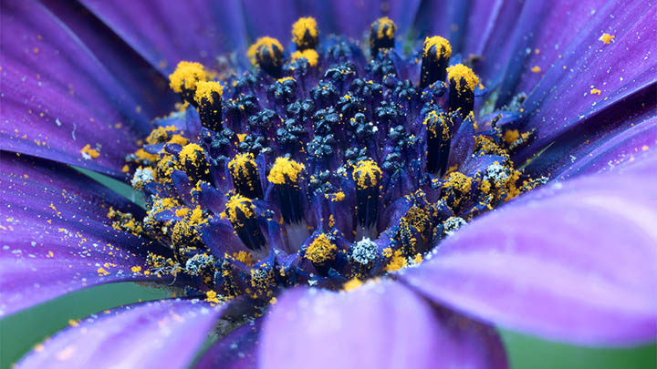 Mac更新后ToDesk无法下载?全版本安装教程与网络异常排查合集 二