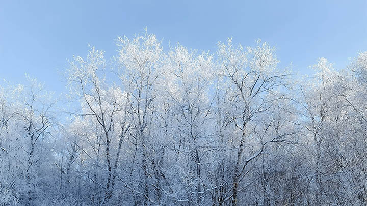 ToDesk下载文件缓慢?高效加速攻略+跨区域双技术 二