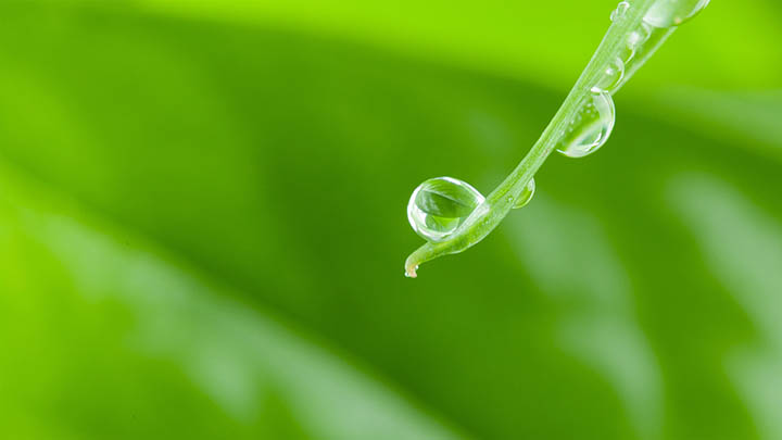 ToDesk下载是什么?新手必看教程+全平台安装指导 二