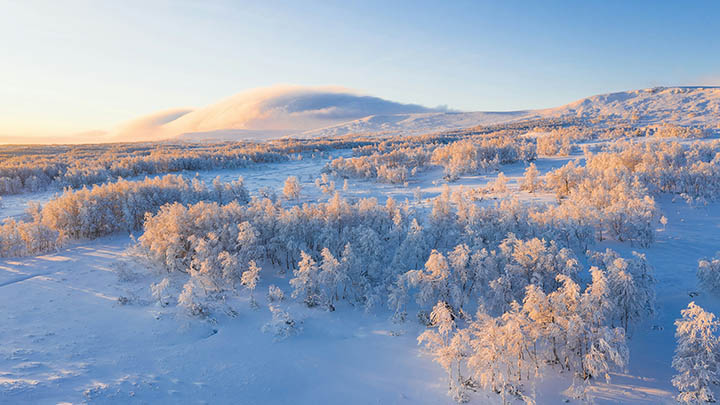 远程软件ToDesk下载教程大全,免费安全连接新手快速上手 二
