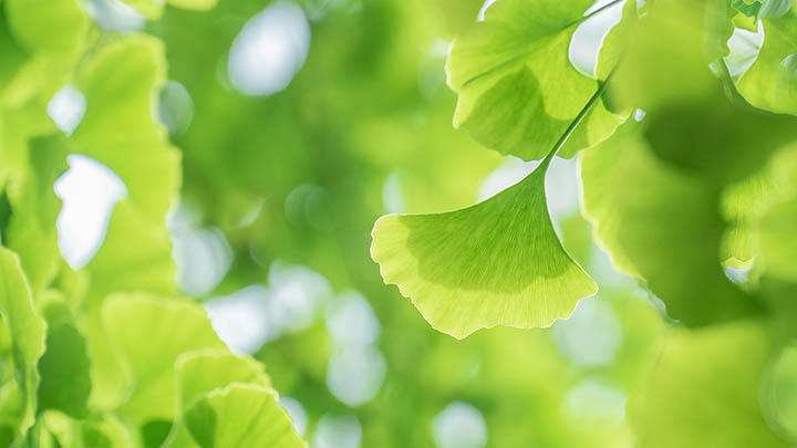 ToDesk下载远程电脑零基础教程适配Win/Mac多系统 二