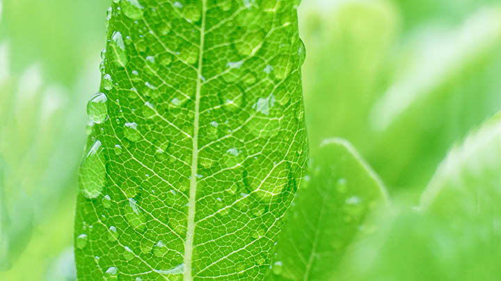 ToDesk下载怎么安装?详解安装流程+官方链接 二