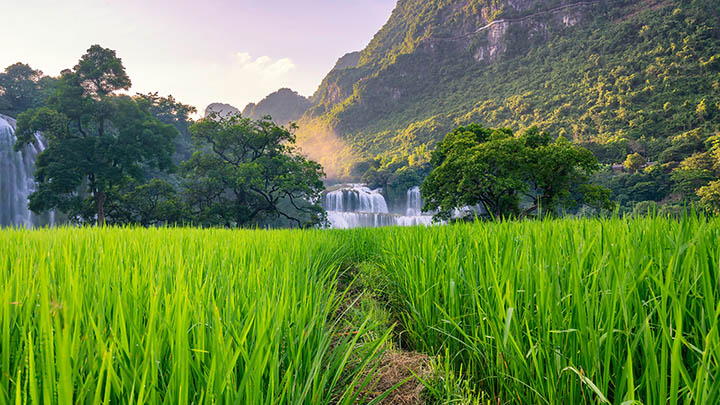 ToDesk下载正版在哪?极速获取官方入口与最新下载安装指南 二