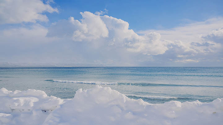 ToDesk下载管理版怎么玩?完整安装攻略+权限配置解析 二