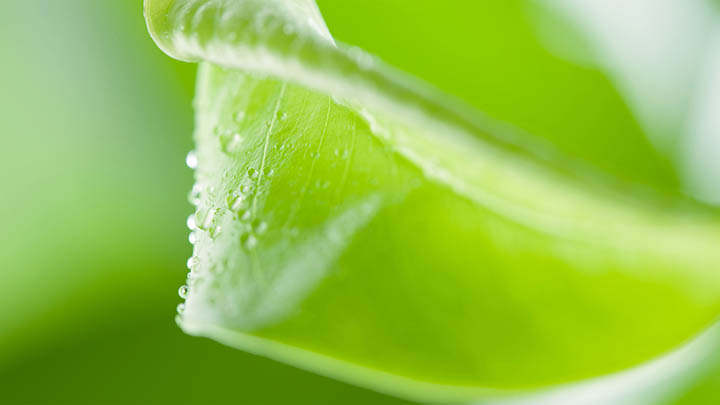 ToDesk正版下载指南：快速掌握3个核心渠道 二