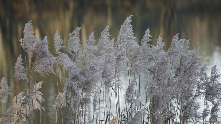 电脑链接不上ToDesk？三大检修策略保你畅通无阻 二