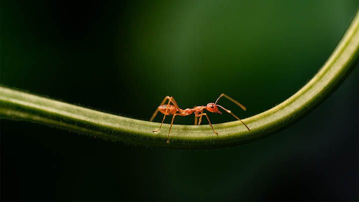ToDesk下载后文件去哪？3个小技巧帮你找到路径 二