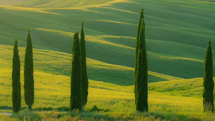 教你如何快速搞定ToDesk下载精简版安装，全流程详细图文解析 二