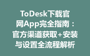 ToDesk下载官网App完全指南：官方渠道获取+安装与设置全流程解析-ToDesk