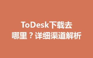 ToDesk下载去哪里？详细渠道解析-ToDesk