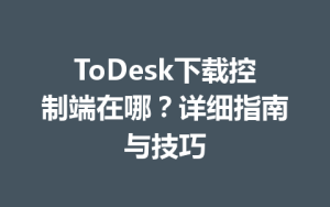 ToDesk下载控制端在哪？详细指南与技巧-ToDesk
